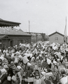 Polakker på havnen i Gedser, 1925. Foto: Museum Lolland Falster